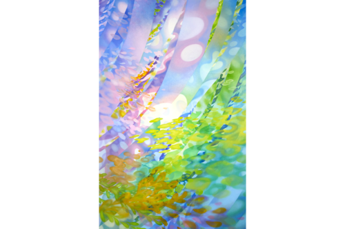 曽谷 朝絵 展   5.13 – 6.30