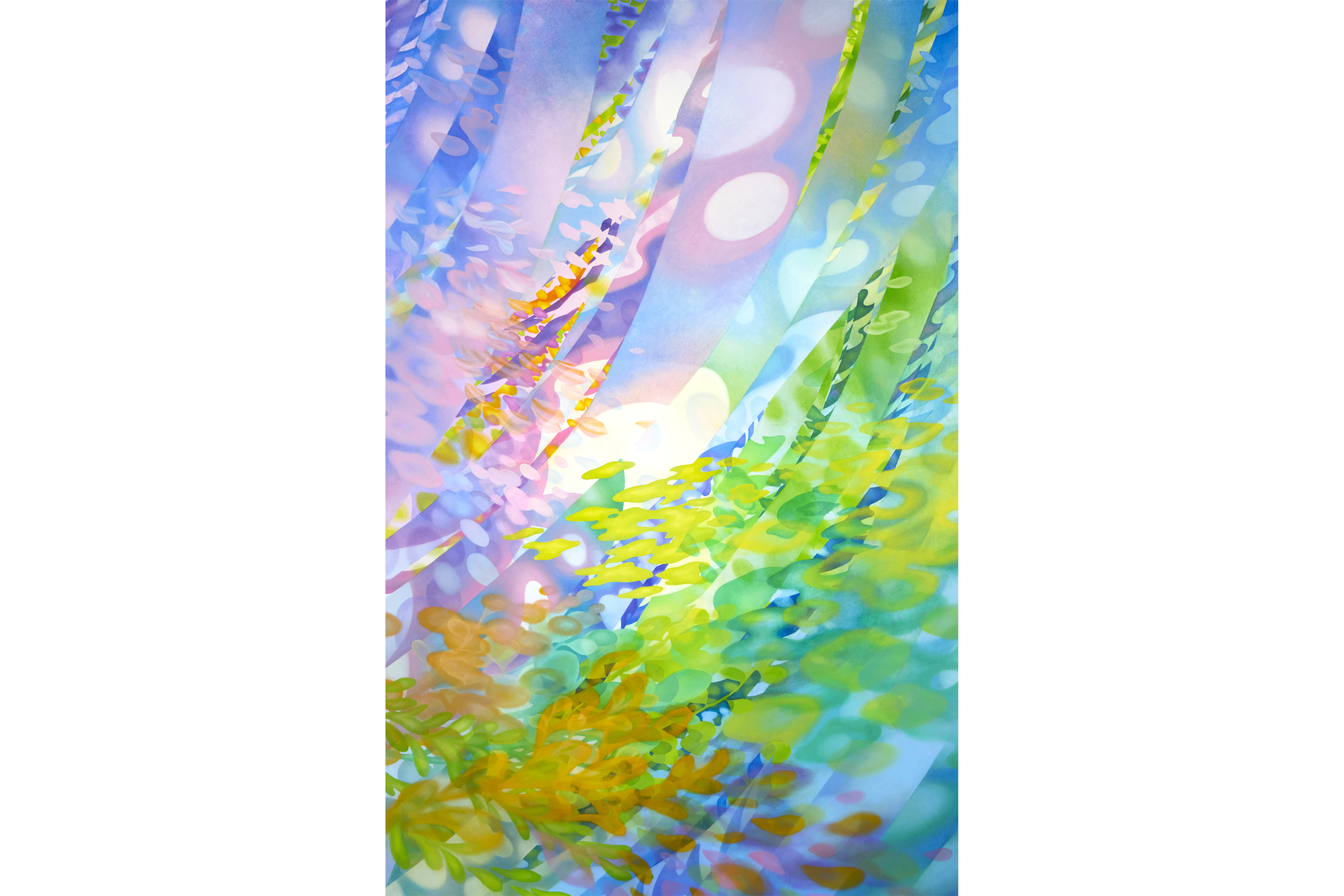曽谷 朝絵 展 5.13 – 6.30｜さくらの家